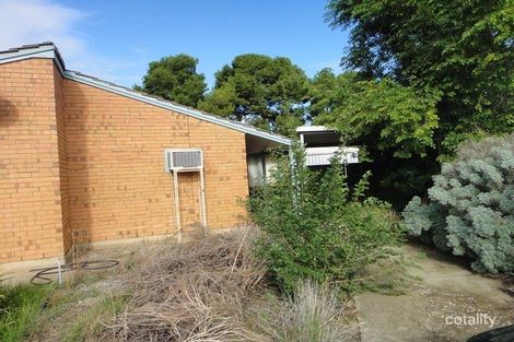 Property photo of 7B Langbein Court Gawler West SA 5118