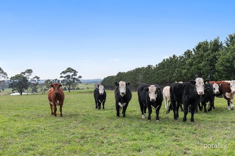 350 Nyora-St Helier Rd, Woodleigh, VIC 3945