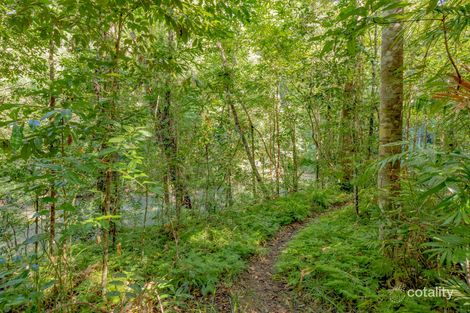 Property photo of 58 Marshall Road Danbulla QLD 4872