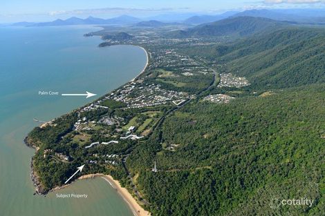 Property photo of 18 Buchan Street Palm Cove QLD 4879