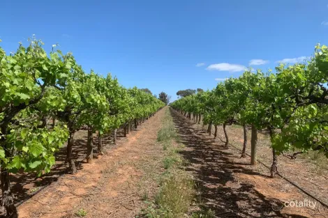 231 Falkiner Ave, Tresco, VIC 3583