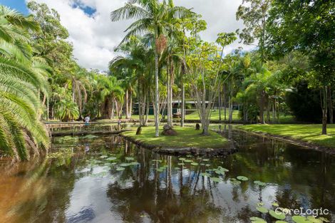 Property photo of 156 Creightons Road Yandina QLD 4561