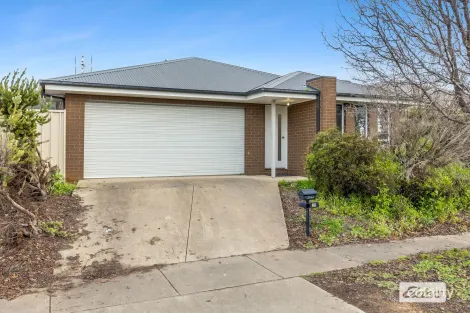19 Sadlier St, Wodonga, VIC 3690