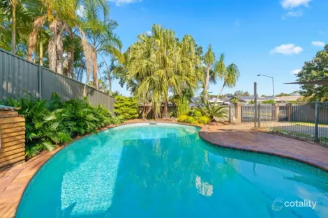 Property photo of 17 Myrtle Court Palm Beach QLD 4221