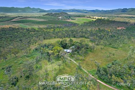 Property photo of 991 Leafgold Weir Road Dimbulah QLD 4872