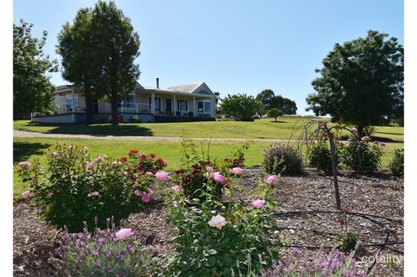 Property photo of 7 Pindari Grove Montefiores NSW 2820
