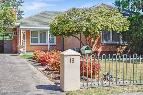 18 Pine Ave, Warradale, SA 5046