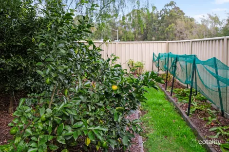 Property photo of 13 Mount Vincent Road Mount Vincent NSW 2323