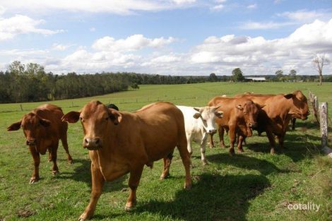 153 Mcgraths Lane, The Whiteman, NSW 2460