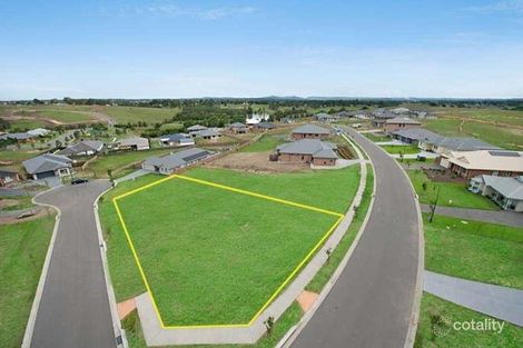 Property photo of 19 Capital Terrace Bolwarra Heights NSW 2320