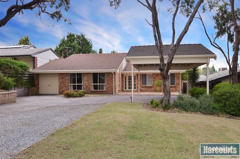 53 Daveys Rd, Flagstaff Hill, SA 5159