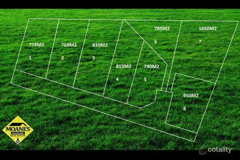 20 Goldsmith St, Lawitta, TAS 7140