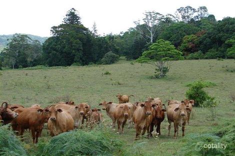 Property photo of 530 Wahpunga Lane Kin Kin QLD 4571