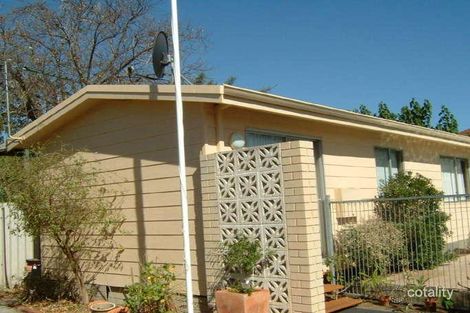 223 St Brigids Tce, Doubleview, WA 6018