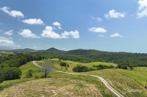 Property photo of 4532 Black Mountain Road Julatten QLD 4871