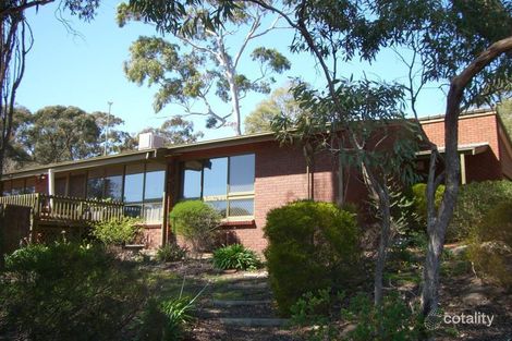 Property photo of 6 Windsor Avenue Burnside SA 5066