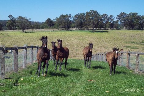 46 Squires Rd, Wootton, NSW 2423