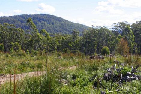 186 Mountain Rd, Lilydale, TAS 7268