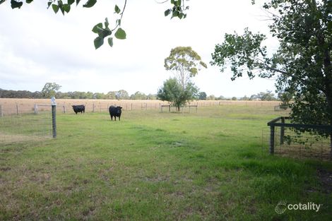 Property photo of 845 Romawi Road Forge Creek VIC 3875