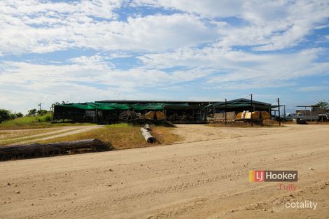 253 North Davidson Rd, Munro Plains, QLD 4854