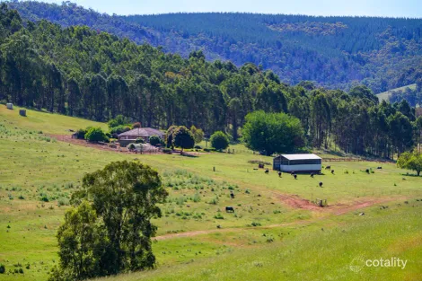 305 Balingup-Nannup Rd, Balingup, WA 6253