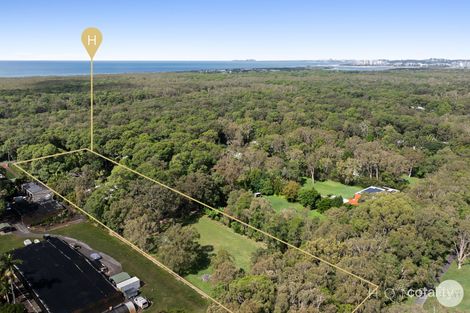 Property photo of 54 Nojoor Road Mudjimba QLD 4564