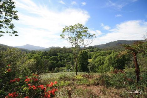 196 Rowlands Creek Rd, Uki, NSW 2484