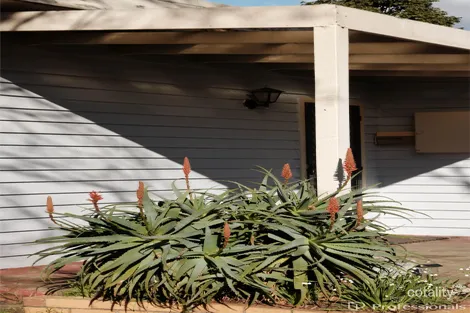 Property photo of 64 King Street Hamilton VIC 3300