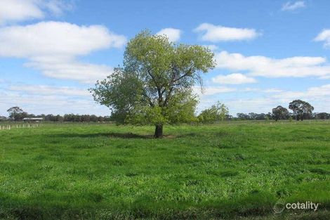 Property photo of 175 Andrews Road Merrigum VIC 3618