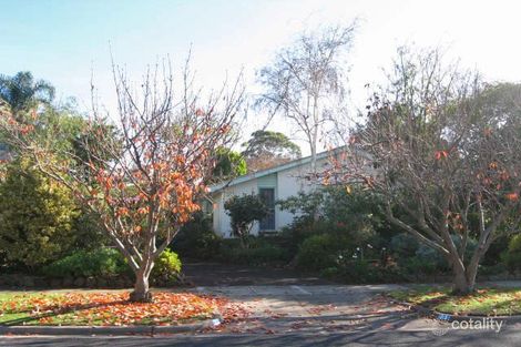 31 Oak St, Beaumaris, VIC 3193