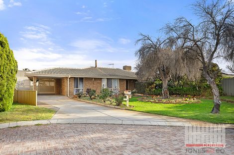 11 Pitt Ct, Morley, WA 6062