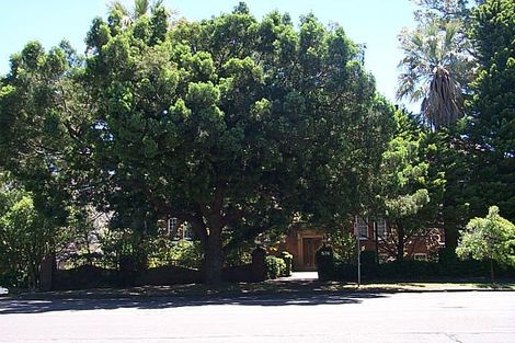 Property photo of 5/574 New South Head Road Point Piper NSW 2027