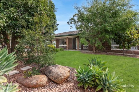 Property photo of 6 Wedge Street Fairview Park SA 5126
