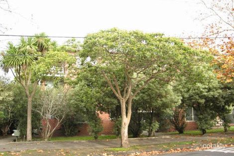 10/4-6 Auburn Gr, Hawthorn East, VIC 3123