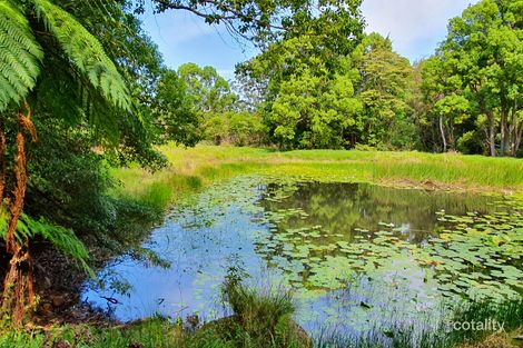 251 Cooks Lane, Dalwood, NSW 2477