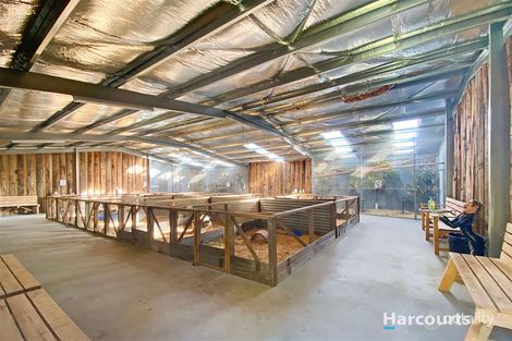 25741 Tasman Hwy, St Helens, TAS 7216