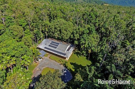 Property photo of 1509 Cape Tribulation Road Cow Bay QLD 4873