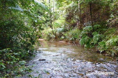 Property photo of 1509 Cape Tribulation Road Cow Bay QLD 4873