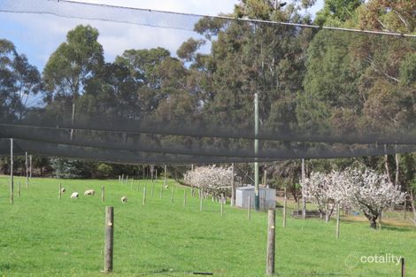Property photo of 57 Gemmell Road Argyle WA 6239