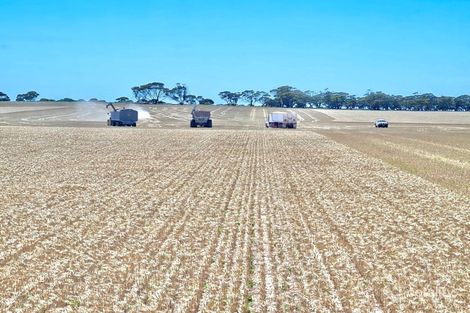 1193 Pimbaacla Rd, Pimbaacla, SA 5661