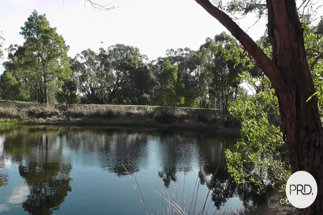 Property photo of Eucalyptus Drive Invermay VIC 3352