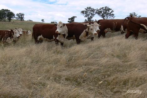 1380 Reg Hailstone Way, Woodstock, NSW 2793