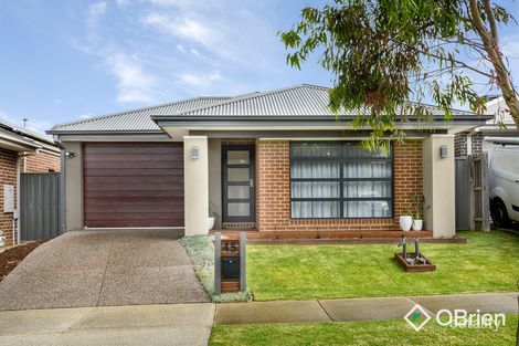 Property photo of 45 Bottletree Road Botanic Ridge VIC 3977