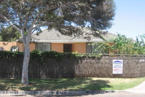 17 College Ave, Valley View, SA 5093