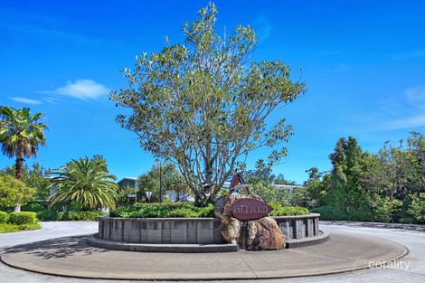 Property photo of 299/8 Starling Street Buderim QLD 4556