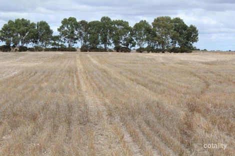 631 Buccleuch South Rd, Peake, SA 5301