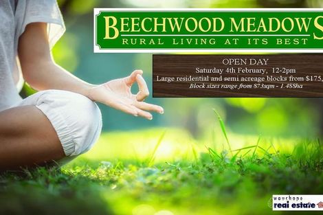 794 Beechwood Rd, Beechwood, NSW 2446