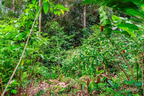 Property photo of 14 Jagera Close Kamerunga QLD 4870