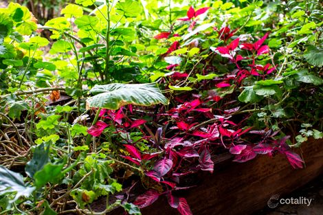 Property photo of 19 Dorset Avenue Colonel Light Gardens SA 5041