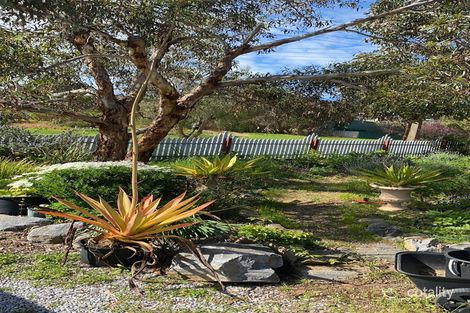 Property photo of 5 Hastings Street Normanville SA 5204